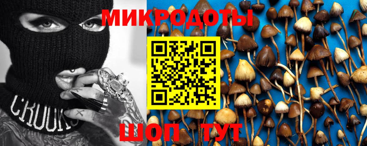 где купить наркоту  Вход с VPN  Салават  Галлюциногенные грибы ЛСД 